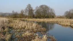 Лучани зібралися на акцію проти смороду в місті 