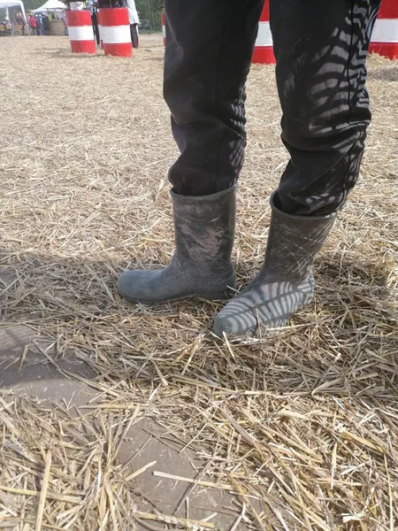 Показали найкрутіше взуття фестивалю тюльпанів на Волині (фото)