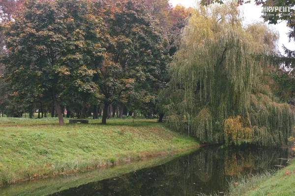 Осінь у луцькому парку: тиша і сплеск кольорів (ФОТО)