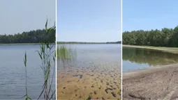 Серед лісів Полісся причаїлися три загадкові озера, де створили Велесову книгу (відео)