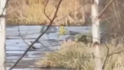 У луцькому парку під лід провалився підліток (відео)