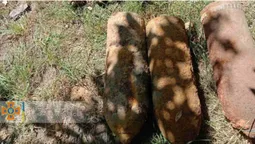 У лісах і в полях: за добу на Волині знайшли 17 снарядів й мін (фото)
