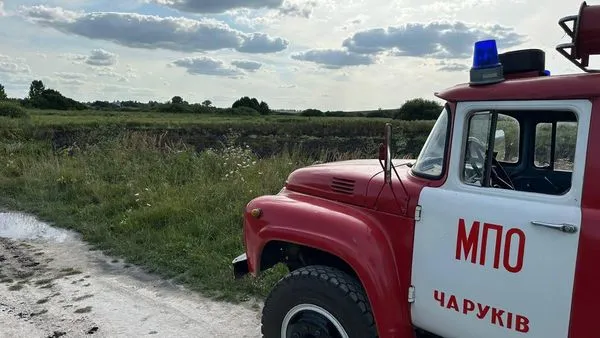 У Луцькому районі невідомі  підпалили суху траву на полі: шукають зловмисників