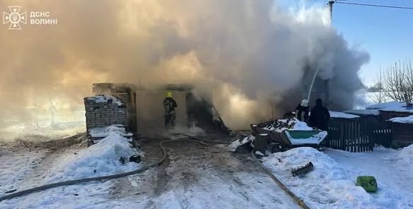 Було море диму: у Володимирському районі з вогню врятували котика (фото)