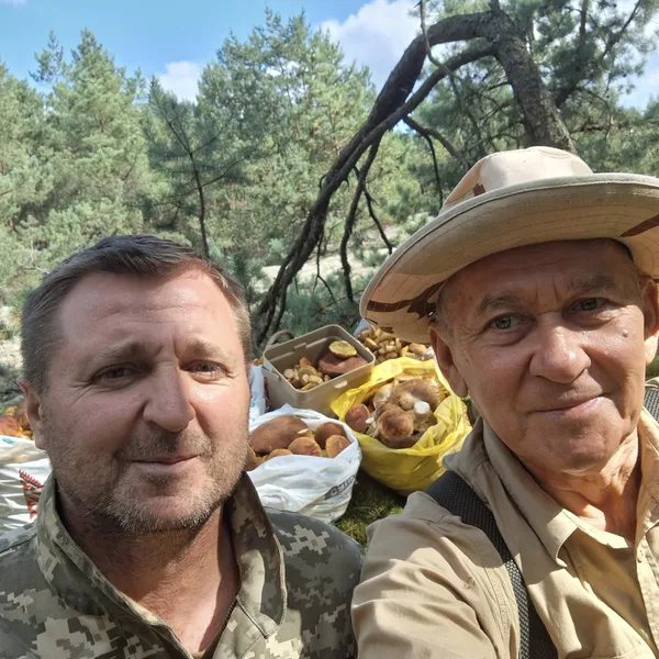 Ростуть тисячами: за 150 км від Луцька зібрали понад 100 кг золотистих боровиків (фото)