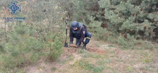 У лісі на Володимирщині знайшли 27 старих боєприпасів (фото)