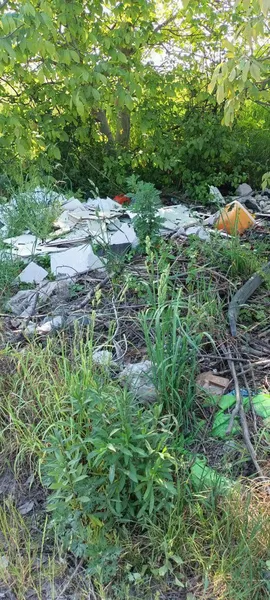 На околицях Луцька розвели стихійні сміттєзвалища (фото)