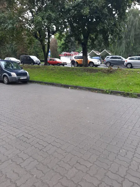 У Луцьку проїзною частиною їздив чоловік на візку (фото)