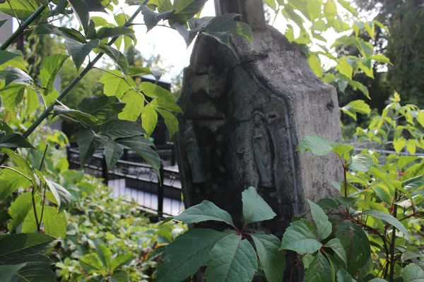 Три історії про живих: (не)містична прогулянка луцьким цвинтарем (фото)