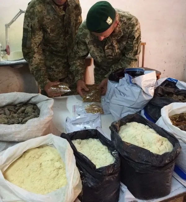 У помешканні волинянина знайшли понад 60 кілограмів бурштину (фото)