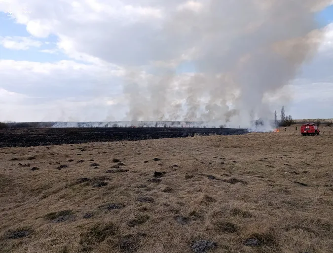Стовпи вогню – гігантські: Волинь охопили масові пожежі (фото)