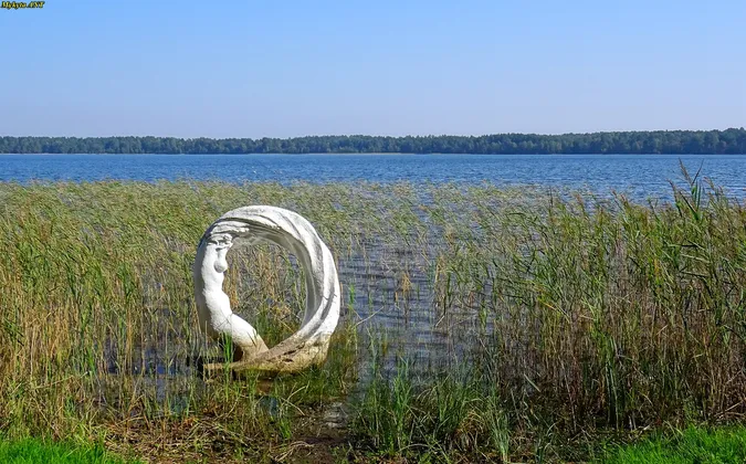 Як проходить оксамитовий сезон на озері Пісочне (фото)