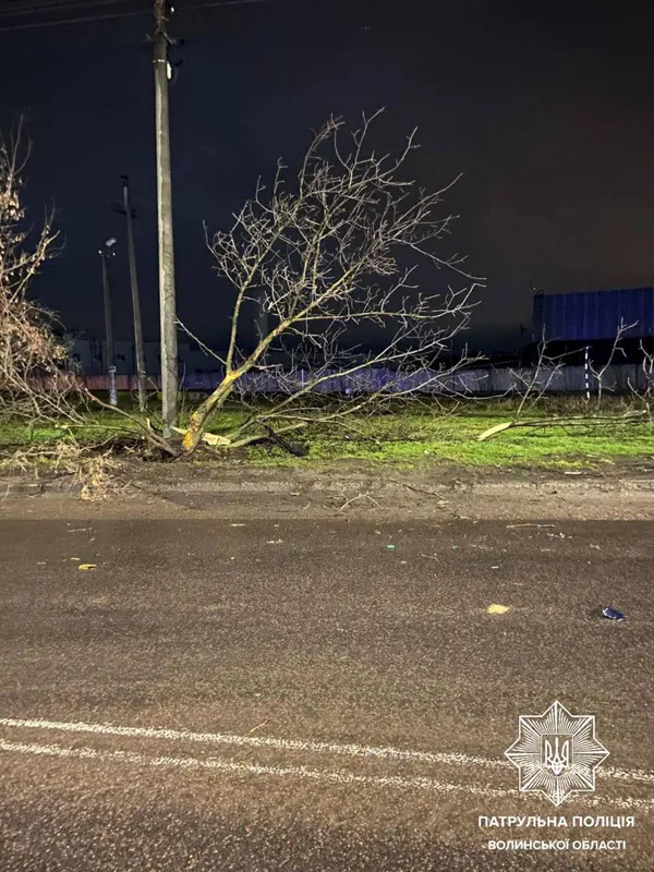 П'яна лучанка в'їхала в дерево: допомогти їй приїхав чоловік, теж п'яний (фото)