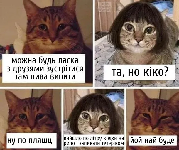 Що буде, якщо щодня пити пиво (+ меми)