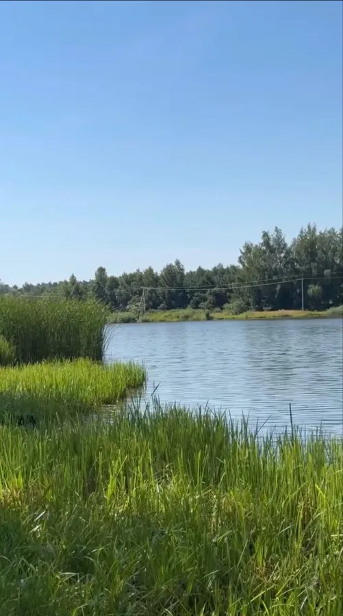 Де покупатись біля Луцька: ТОП-3 цікаві локації
