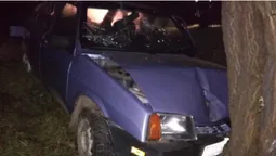 Під Луцьком вночі легковик злетів з дороги й протаранив дерево (фото)