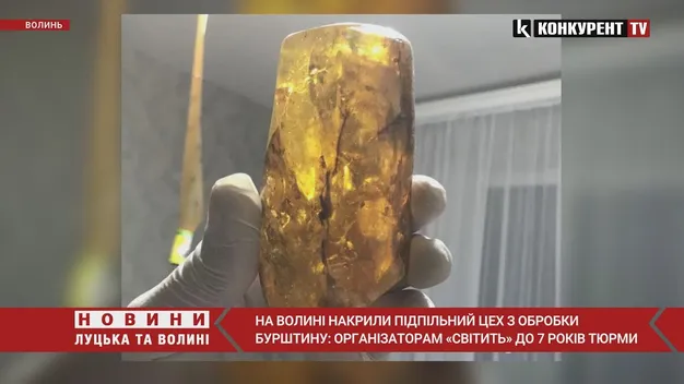 «Бурштинова справа»: чотирьом волинянам загрожує до семи років позбавлення волі (фото)