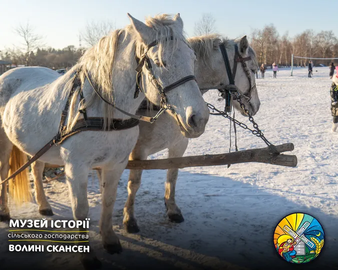 Вперше: в Рокинському музеї-скансені відбулась «Зимова феєрія» (фото)