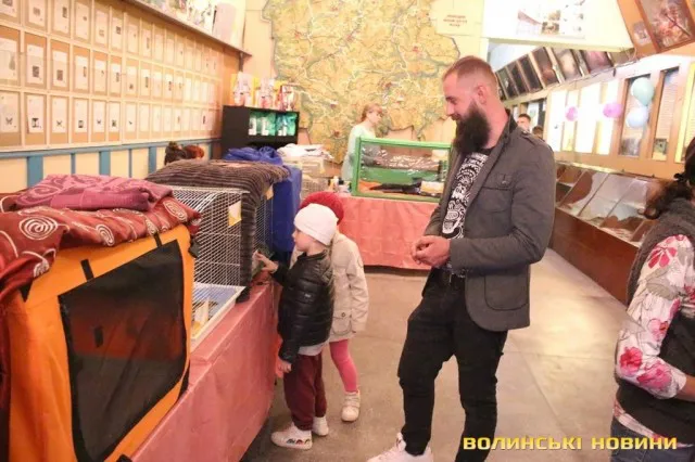 Мейн-куни, сфінкси, бенгали: у Луцьку відбулася Національна виставка кішок (фото)