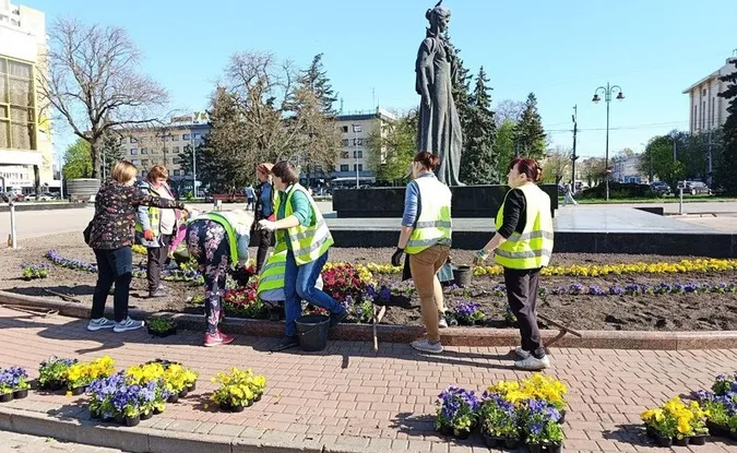 У Луцьку на розсаду квітів для клумб витратять понад 2,4 мільйона