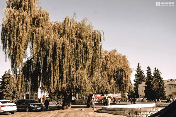 Бабине літо і квіти: осінь-2019 в Луцьку (фото)