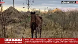 На Волині поліцейські захистили права коней (відео)