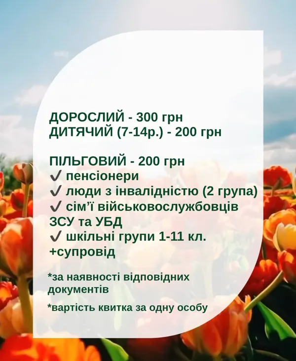 «Волинська Голландія»: якими будуть ціни на квитки на фестиваль тюльпанів
