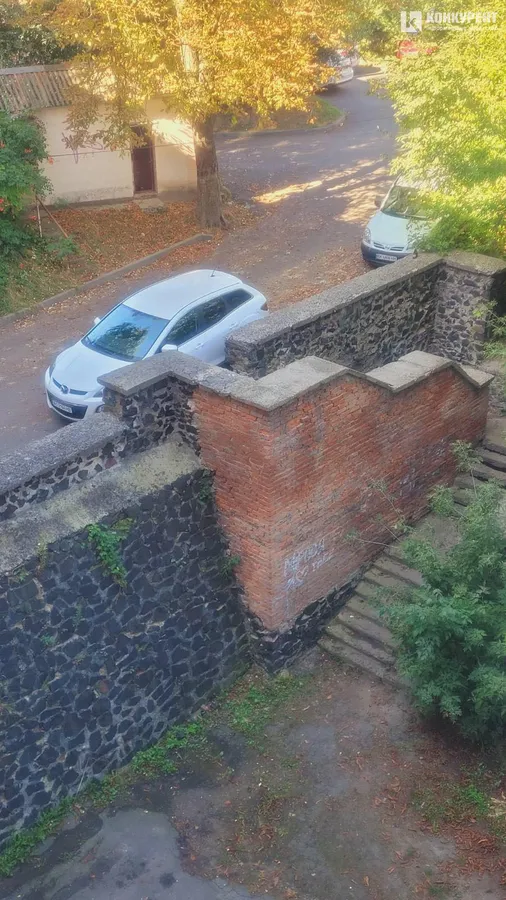 У Луцьку «народні месники» облили кефіром невдало припарковану «мазду» (фото)
