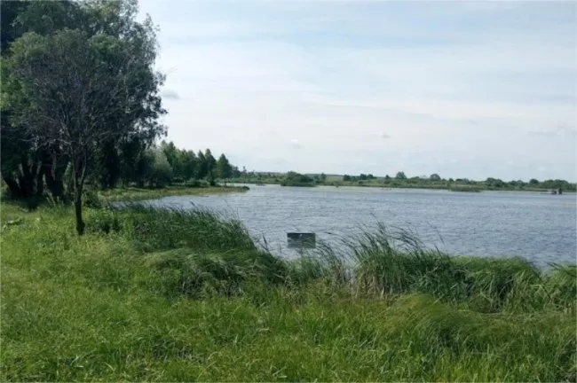 Найкращі місця для риболовлі неподалік Луцька: локації, актуальні ціни, умови