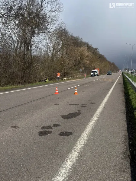 На авто лучанки на швидкості впало дерево і проштрикнуло «лобовуху»: моторошні деталі (фото, відео)