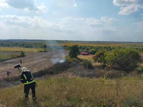 Горіла суха трава: поблизу Олики зайнялися 2,5 га (фото)