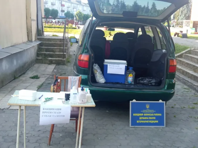 У Володимирі і Нововолинську «на халяву» вакцинували котиків і собачок (фото)