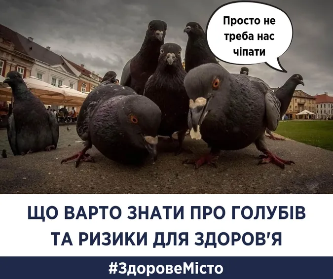 Супрун розповіла, чим небезпечно годувати голубів