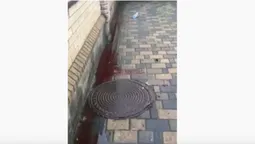 У Луцьку біля стадіону «Авангард» порізали двох людей (відео)