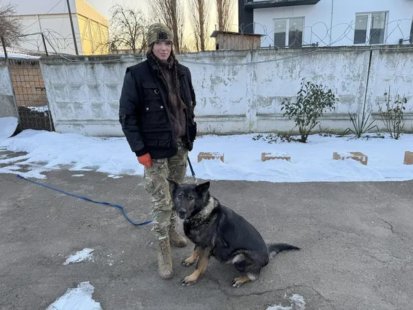 Будки, калорійне харчування та тренування: як живуть «чотирилапі поліціянти» на Волині (фото)