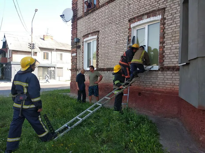 На Волині надзвичайники допомогли бабусі й знищили гніздо шершнів (фото)