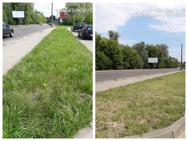 Не вище 15 сантиметрів: лучан змусили скосити траву (фото)