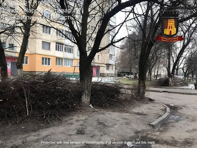 Лучанам нагадують: за гілля і будівельні відходи біля контейнерів – штраф (фото)