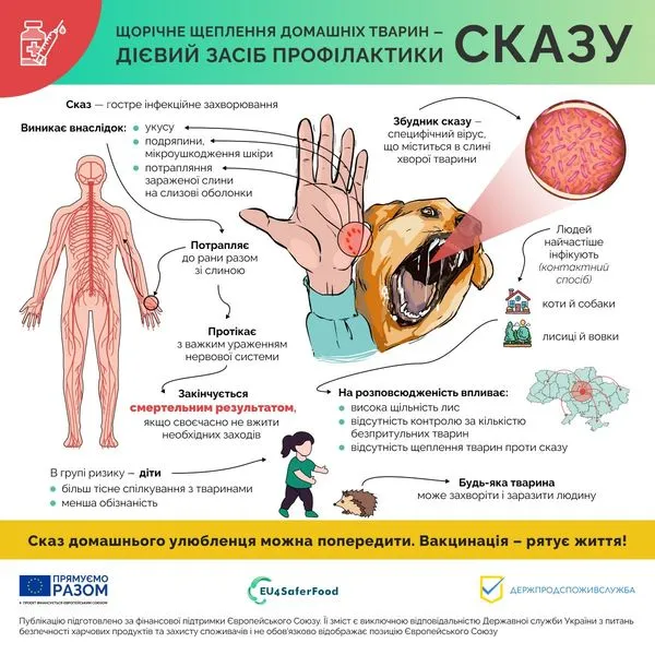 На Волині визначили 18 місць безплатної вакцинації тварин від сказу