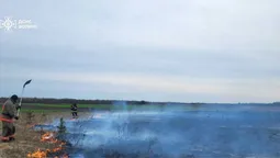 На Ковельщині палії ледве не спалили ліс (фото)