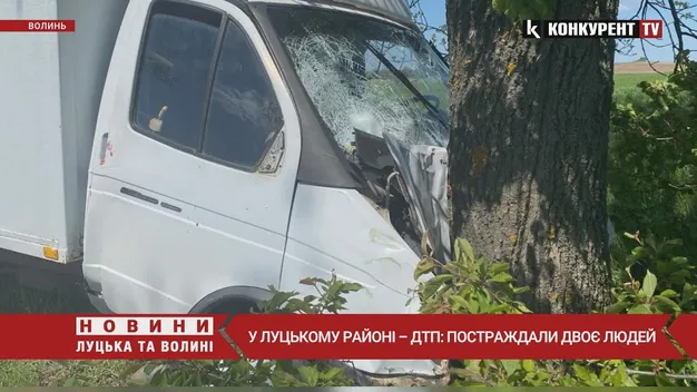 У Луцькому районі ГАЗ після зіткнення з мотоциклом протаранив дерево (відео)
