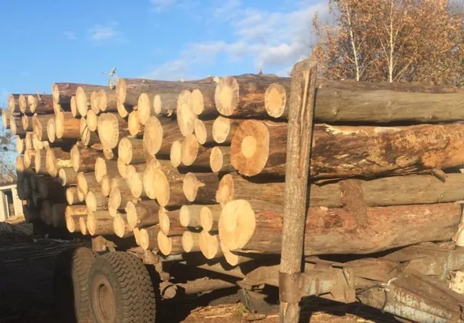 Волинські правоохоронці виявили незаконний деревообробний цех (фото, відео)