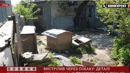 Стріляв з автомата, бо чіплявся до собаки: деталі конфлікту між сусідами в Луцьку (відео)
