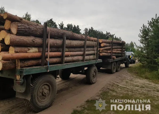 У Ковельському районі зупинили вантажівку з деревиною без документів (фото)