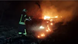 Палало по всій Волині: рятувальники гасили масштабні пожежі сухостою (фото)