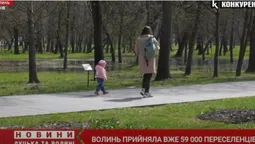 Волинь прийняла вже понад 59 тисяч вимушених переселенців (відео)