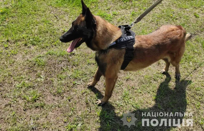 Злодійку, яка «обчистила» церкву в Дніпрі, розшукав службовий собака по кличці Бес