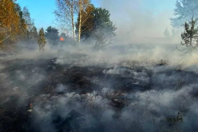 В автентичному поліському селі Сваловичі вирувала пожежа (фото)