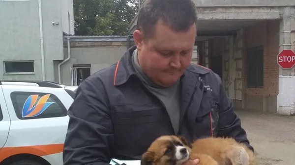 Втрапило під машину: луцькі газовики рятують тримісячне цуценя (фото, відео)