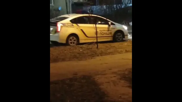 Вночі у Луцьку жінка кричала і викидала речі з балкону (відео)